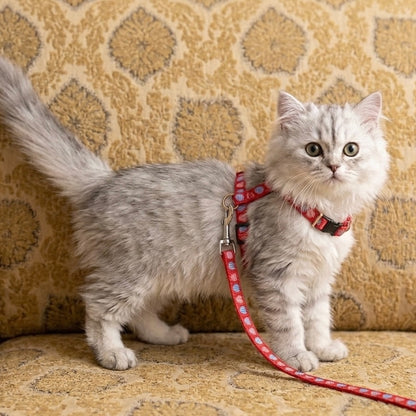 Adjustable Cat Collar Harness – Comfortable & Safe for Cats