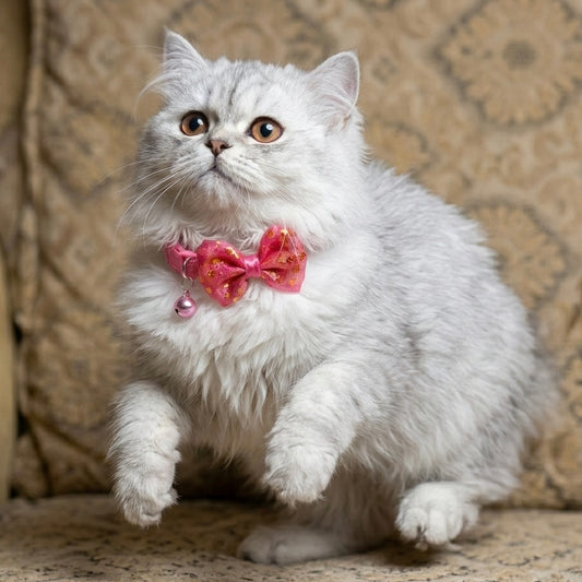 Cute Ribbon Cat Collar with Bow – Adjustable Safety Collar for Cats
