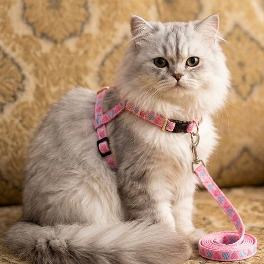 Adjustable Cat Collar Harness – Comfortable & Safe for Cats